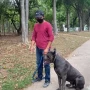 Foto 1:  Canil Arcanine Locação de Cães de Guarda para Segurança